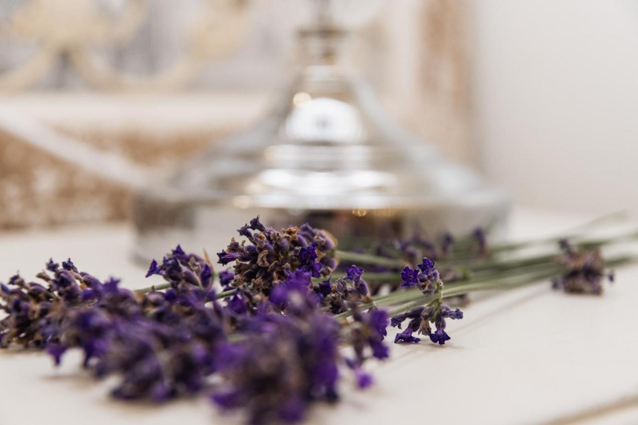 The French Boudoir Apartment Epernay Bagian luar foto